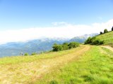 IMG_0362