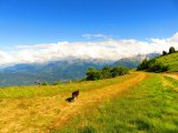 IMG_0366