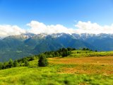 IMG_0375