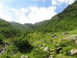 img_0017