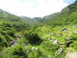 img_0020