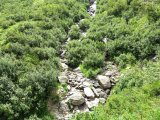 img_0035