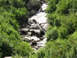 img_0038