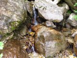img_0050