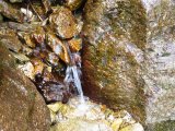 img_0052