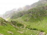 img_0082