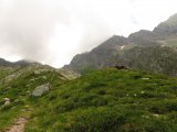 img_0119