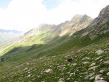 img_0290