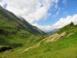 img_0310