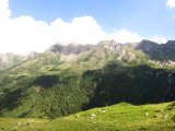 img_0341
