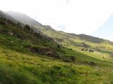 img_0364