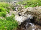 img_0381