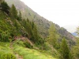 img_0385