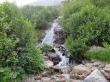 img_0401
