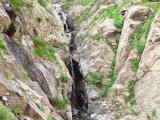 img_0420