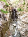 img_0421