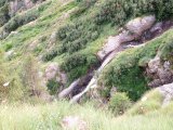 IMG_0437