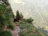 IMG_0439