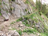 IMG_0446