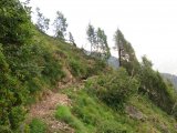 IMG_0458
