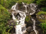 IMG_0470