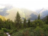 IMG_0475