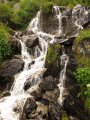 IMG_0477