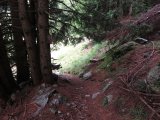 IMG_0491