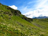 img_0082