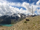img_0423