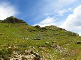 img_0517