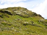 img_0519