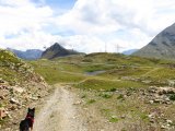 img_0521