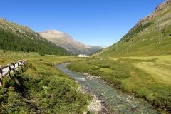 img_0005