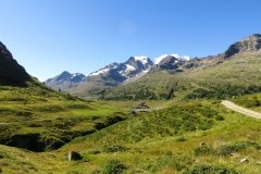 img_0016