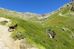 img_0040