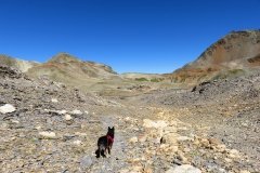 img_0134