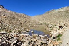 img_0155