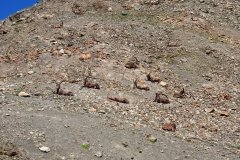 img_0175