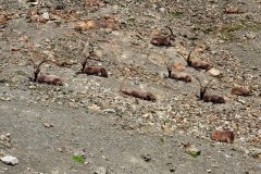img_0185