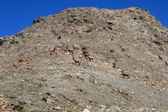 img_0194