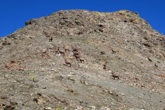 img_0196