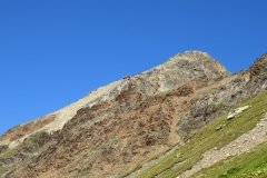 img_0231