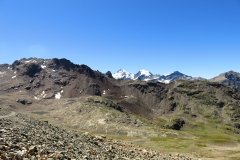 img_0236