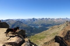 IMG_0464