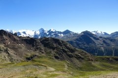 IMG_0515
