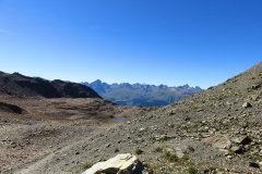 IMG_0552