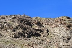 IMG_0554