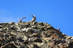 IMG_0570
