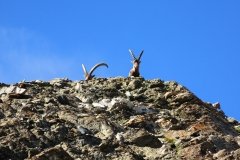 IMG_0571